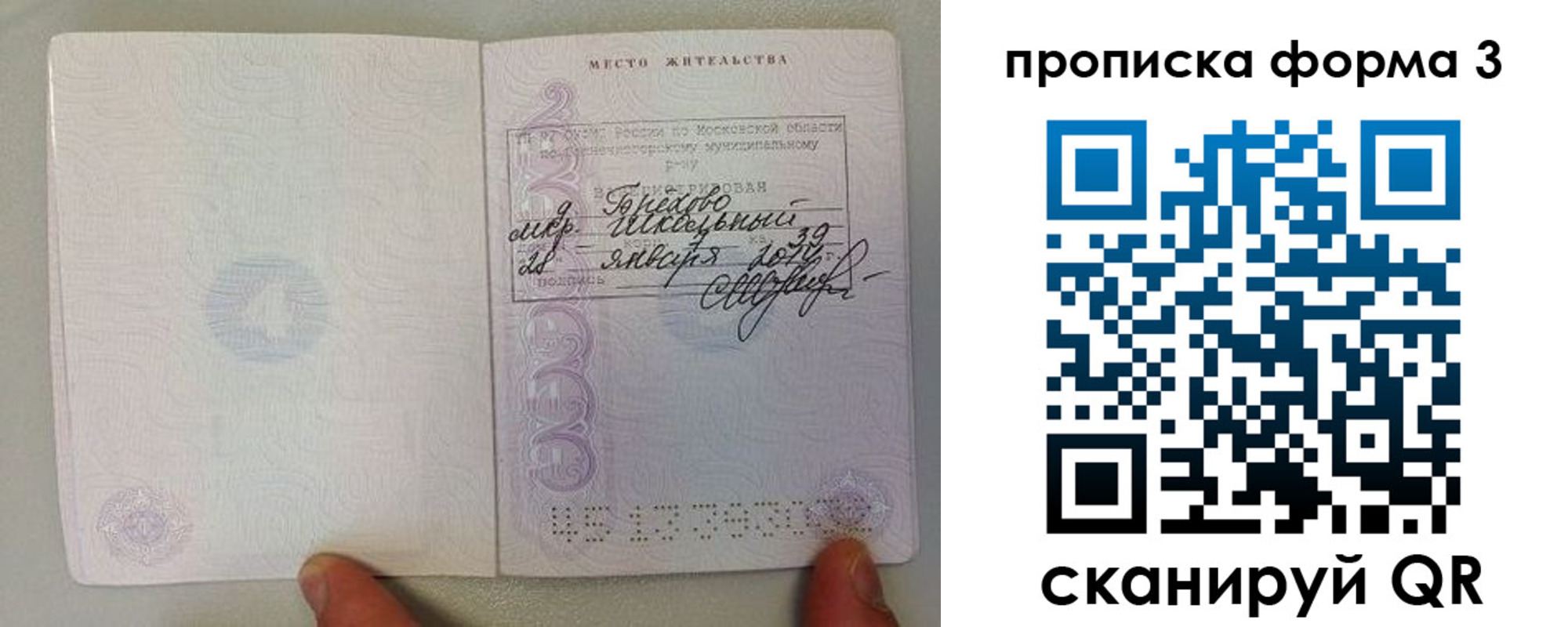прописка гарантия в Дмитрове